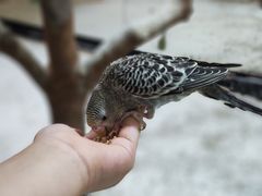 -上海大自然野生昆虫馆
