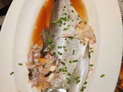 -绿茶餐厅(财富购物中心店)