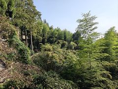 -莫干山风景区