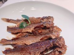 -鸽子侯·家宴·平价海鲜(绿地店)