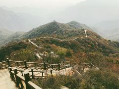 -大岭沟猕猴桃谷风景区