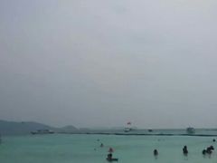 -珊瑚岛