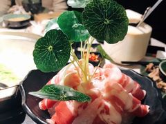 -狐狸爱上椰子鸡(滨江星光大道店)