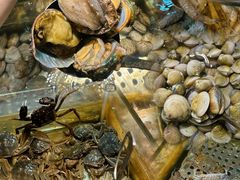 -领鲜活海鲜榴莲自助火锅(东门店)