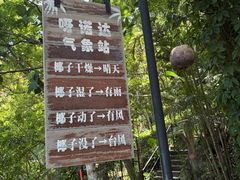 -呀诺达热带雨林