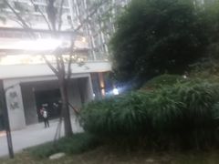 -伊藤洋华堂(高新店)