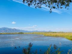 -野鸭湖国家湿地公园