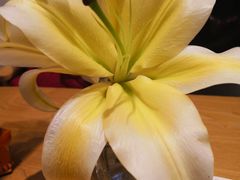 -藏猫猫咖啡主题馆(中央大道店)