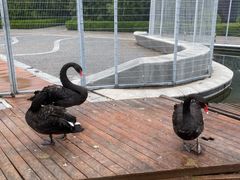 -北京园博大酒店