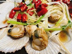 -鲁前海沿儿