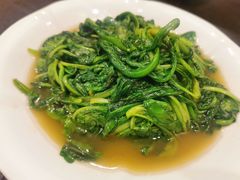 茼蒿-湘肠香火锅店(团结湖店)