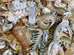 -青石桥市场北1-27号