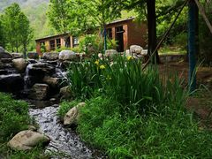-白水寺森林公园