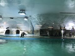 -北戴河圣蓝海洋公园