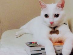 -自然派小区