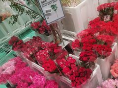 -盒马X会员店(上海森兰商都店)