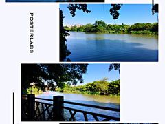 -小洲村