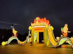 -映月湖公园