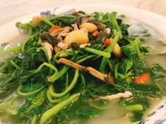 上汤时蔬-馨越楼·点心·粤菜(赤坎店)