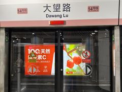 -大望路(地铁站)