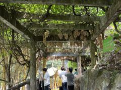 -大雁山风景区
