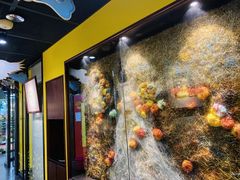 -杨梅红艺术教育(西湖万达校区)