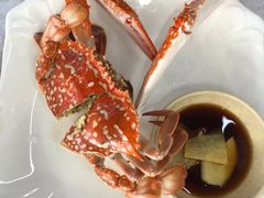 -众味海鲜大排档·活海鲜·潮汕味(南澳店)