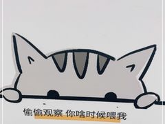 -COLOR PETS 撸猫馆·购猫·猫咖(长风大悦城店)