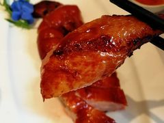 -沪碟·精菜坊(闵行店)