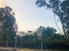 -东方棕泉·洗浴·按摩·美食国际水疗会所(福田店)