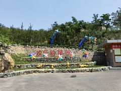 -欢乐松鼠谷