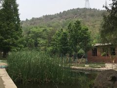 -白水寺森林公园
