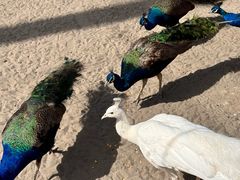 -水上乐园·欢乐世界