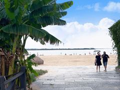 -瑶湖郊野森林公园