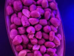 -周庄红庭演艺酒吧