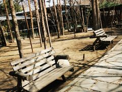 景观位-大鹅岛绿色生态美食园