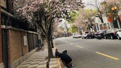 -艾米丽儿童摄影