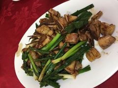 -蛇口康乐快餐鱼仔档(翠苑小区店)