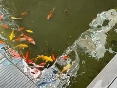 -绿房子方寸咖啡(星海名城店)
