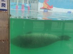 -北戴河圣蓝海洋公园