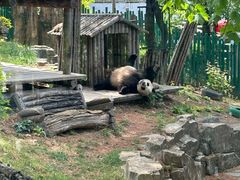 -大连森林动物园