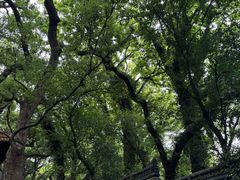 -普陀山风景名胜区-法雨禅寺
