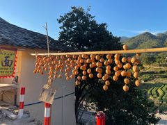 -杨家堂村