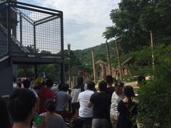 -无锡动物园·太湖欢乐园