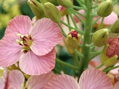 -中国天府农业博览园