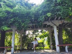 -禹州森林植物园