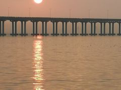 景点-宝安西湾红树林湿地公园