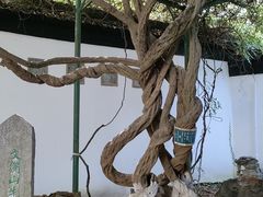 -中国昆曲博物馆