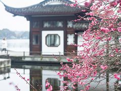 -杭州植物园
