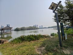 -飞来湖湿地公园